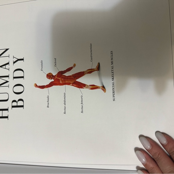 The Visual Dictionary of the Human Body‎ Book - Picture 6 of 6